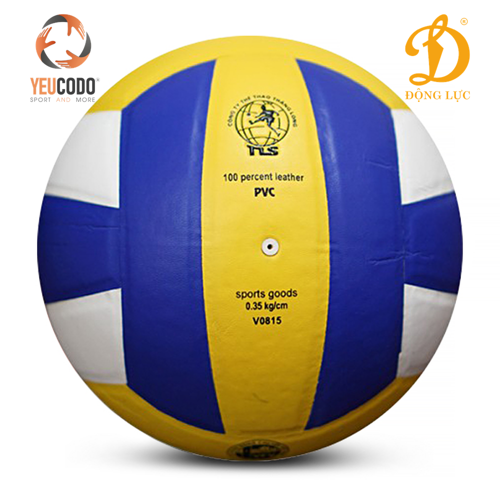 Bóng chuyền EBET DT S001 - Chi tiết 1